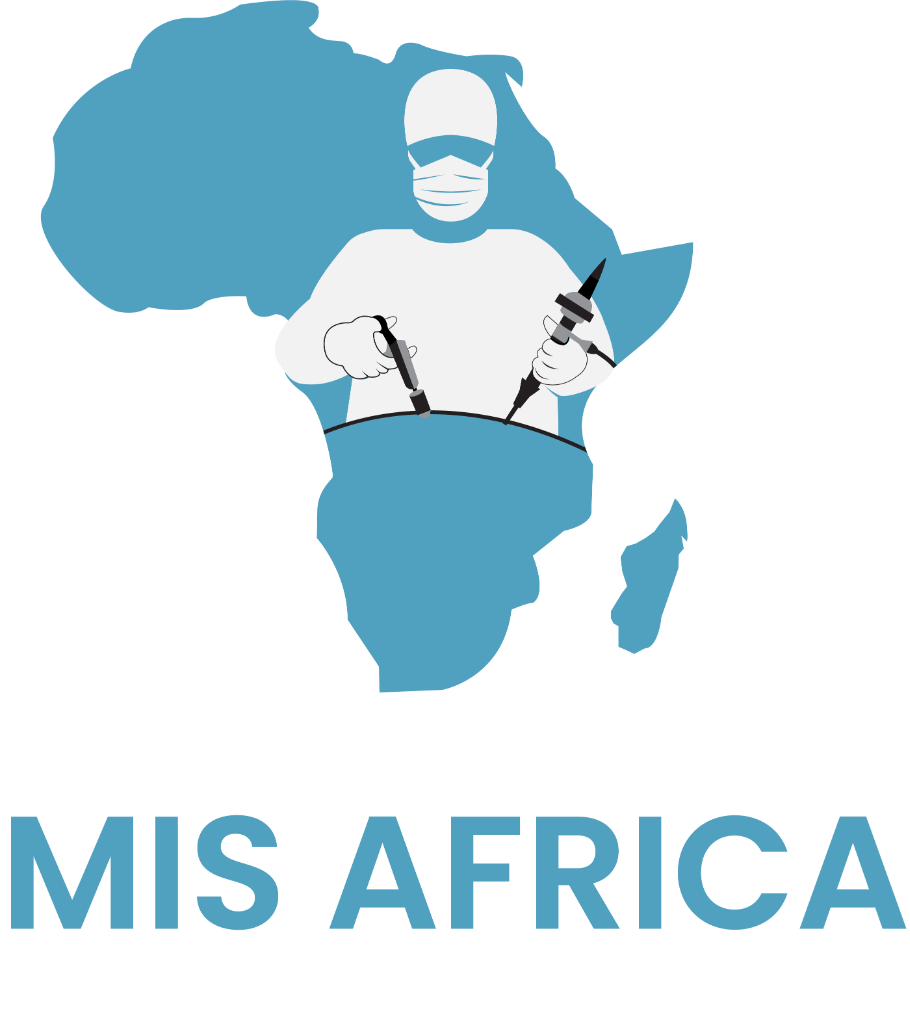 MIS Africa Logo